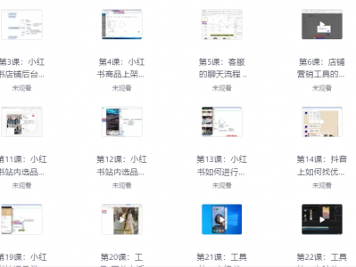 互联网副业项目:价值2999元小红书电商运营从入门到精通